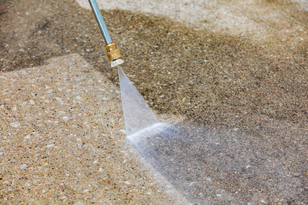 Best Spring Cleaning  in Farmville, VA