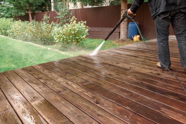 Best Sidewalk and Walkway Cleaning  in Farmville, VA