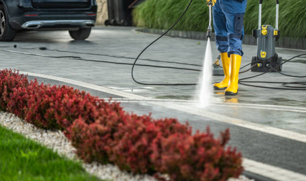Best Solar Panel Cleaning  in Farmville, VA
